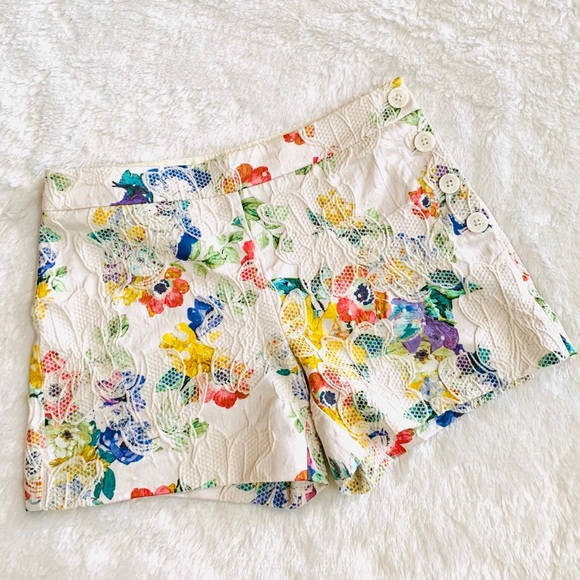Anthropologie Pants - Anthropologie Catalonia Shorts